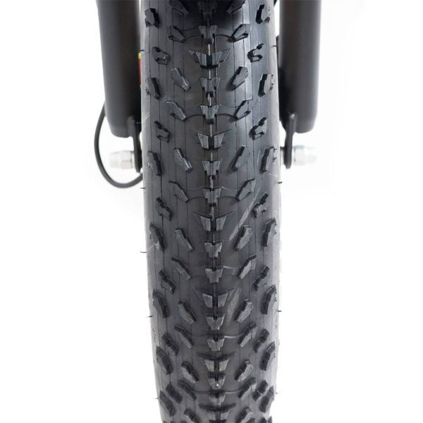 20 48V/14AH 750W Foldable Fat Tire Electric Trike, 330LBS